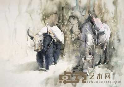黄亚奇 高原伙伴 76×106cm